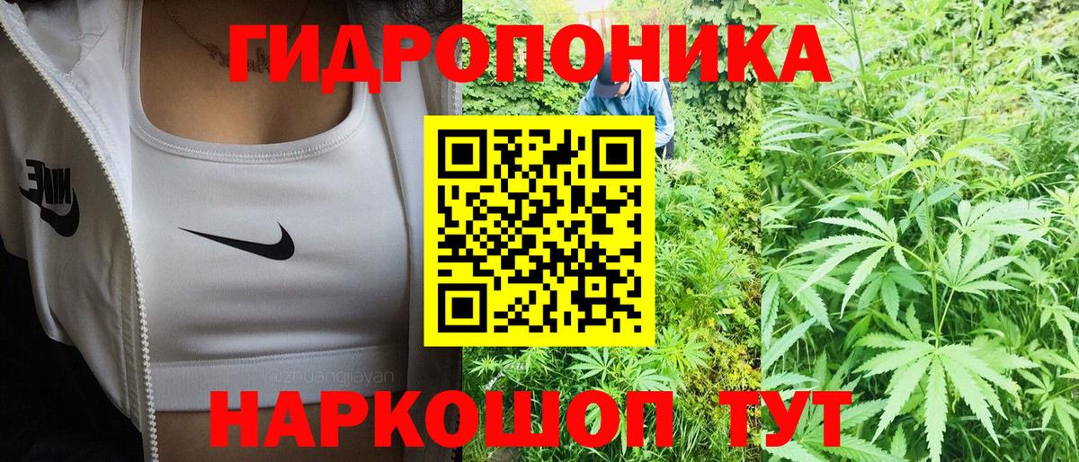 Бошки марихуана SATIVA & INDICA  Конопля гибрид  Вход с VPN  Конопля индика  Белово 